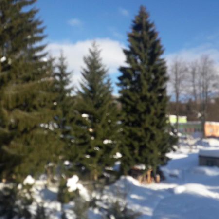 Boutique Apartment Petra Harrachov Bagian luar foto